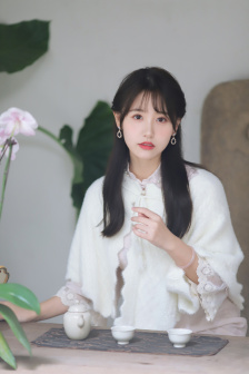 电车之狼R调教攻略